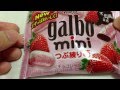 galbo mini つぶ練り　いちごチョコレート　strawberry chocolate