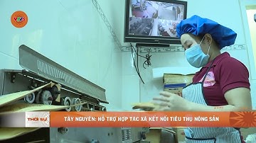TÂY NGUYÊN: HỖ TRỢ HỢP TÁC XÃ KẾT NỐI TIÊU THỤ NÔNG SẢN  | VTV5