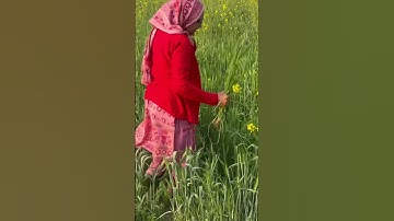 Khet mien mummy ghaas kaat rhi h #youtube #india #viral #video