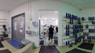 Lobster Processing Plant in Prince Edward Island | 360 VR Lobster PEI