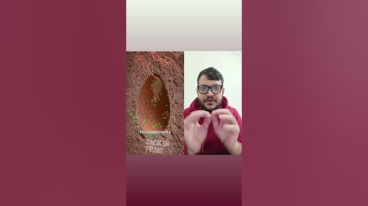 How Tree Pod Burials Work 🤔     #deaf #deafworld #signlanguage #deafvideo #deafcommunity