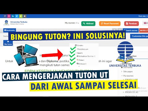 Ut Ris:  Ut Ris: A Beginner's Guide