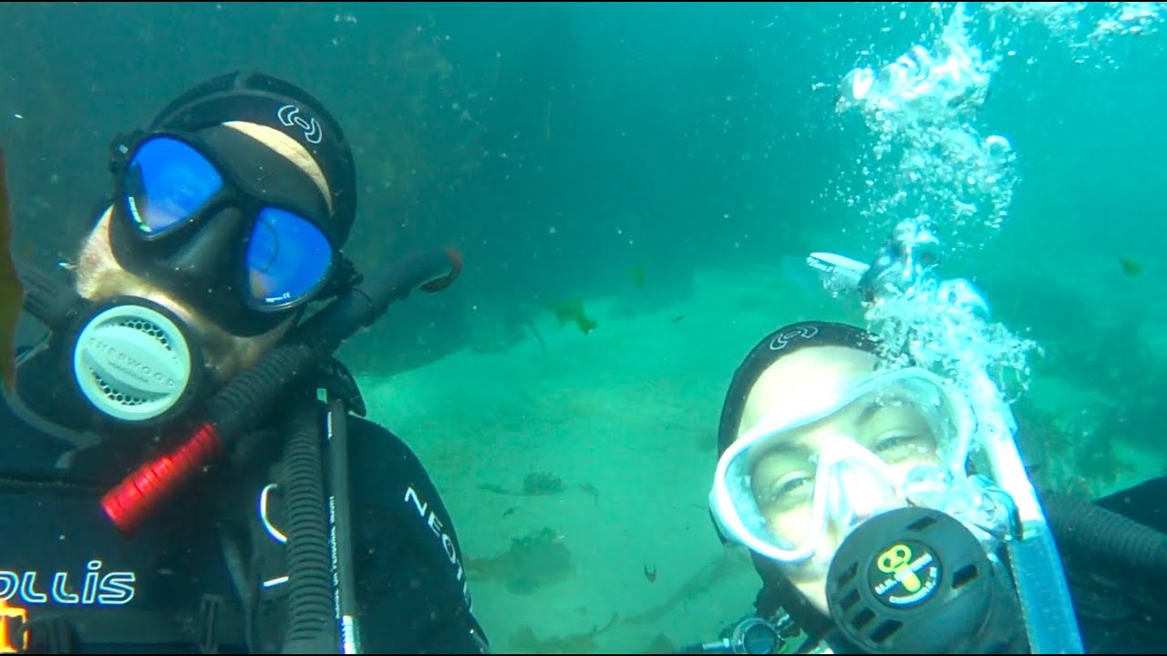 Our first DIVE at the Breakwater! This will NEVER get old!!