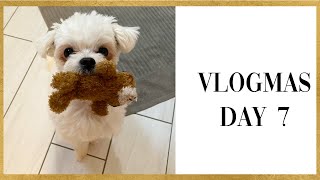 VLOGMAS day 7 2022