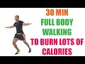 30 Minute Full Body Walking Workout to Burn Lots of Calories 🔥 3300 Steps - 250 Calories 🔥