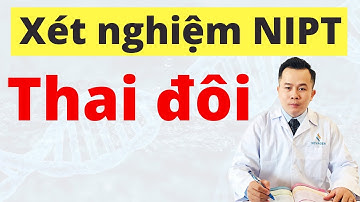 Xét Nghiệm NIPT Thai Đôi Có Thực Hiện Được Không? Dr Hoàng NOVAGEN