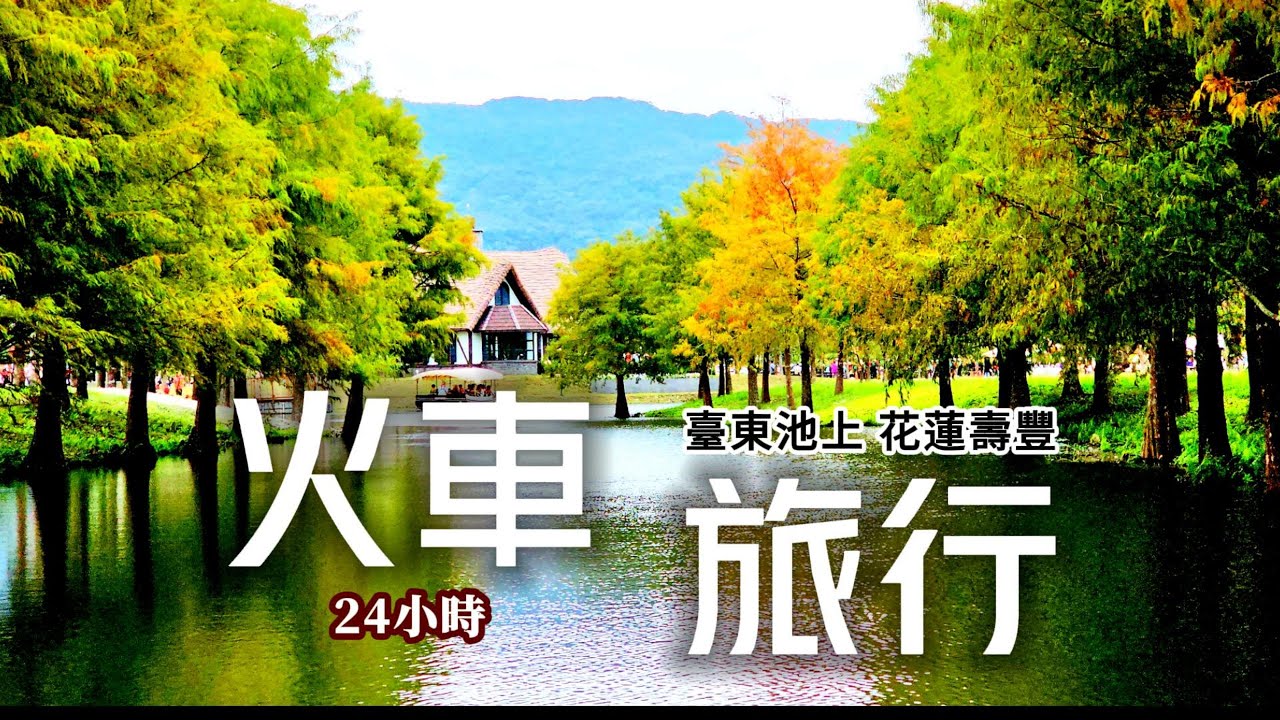 不去會後悔❗ 最夯的童話星巴克🍁池上金黃稻浪騎腳踏車🌾24小時火車旅行🚂解鎖臺鐵唯一夜班車｜台東池上❌花蓮壽豐｜TAIWAN｜【國旅玩什麼】