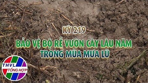 Bạn nhà nông - Kỳ 219: Bảo vệ bộ rễ vườn cây lâu năm trong mùa mưa lũ - Trailer