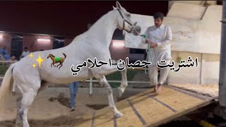 اشتريت حصان احلامي + اخذت دورة عند افضل مدرب ?