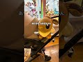 ’ 私のことをフォローしてくれている、小さなベービーがいたので、、、