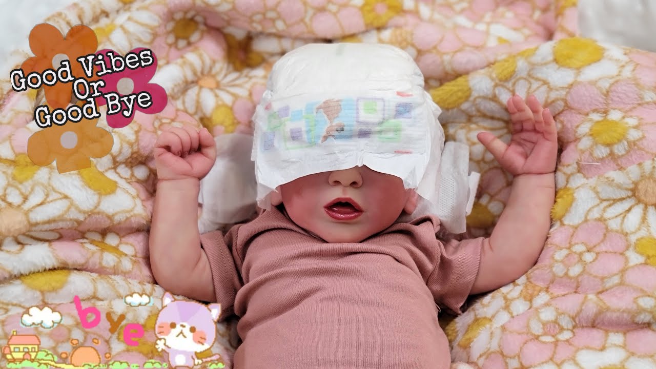 Box Packing of Reborn Baby Doll Watching Silicone Baby Use New mamaroo nlovewithrebonrs2011