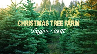 Taylor Swift - Christmas Tree Farm (Lyrics)