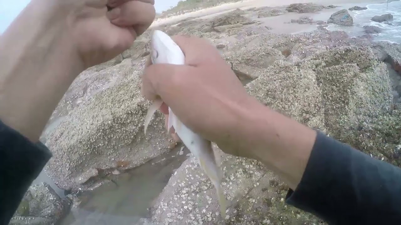 câu cá ghềnh đá biển Long Hải bằng cần tay...video của mắm Tép TV