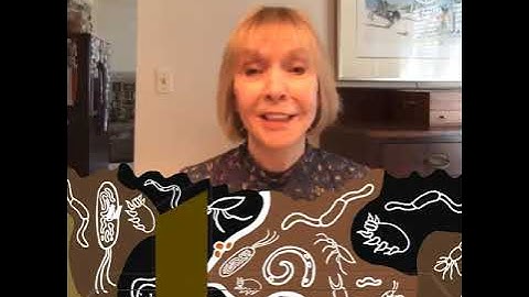 Soil Biodiversity Interview with Dr. Diana Wall, a Soil Scientist