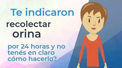 ¿Qué muestra un análisis de orina de 24 horas?