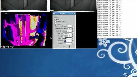 Real-time disparity map with CUDA