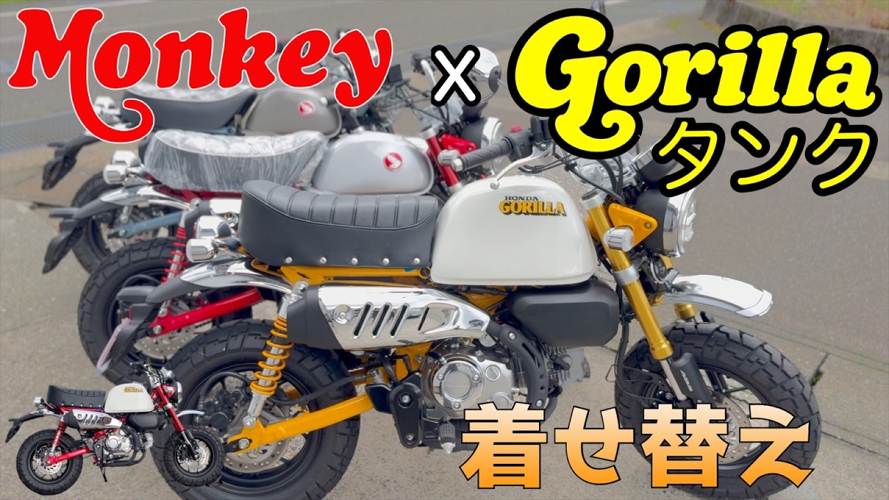 Monkey 125] Gorilla Tank Conversion! Showcasing Color Variations