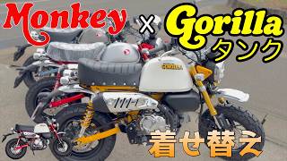 Monkey 125] Gorilla Tank Conversion! Showcasing Color Variations