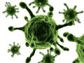 VIRUS MORTAL - Increible Documental Sobre Los Virus Mas Letales Del Mundo