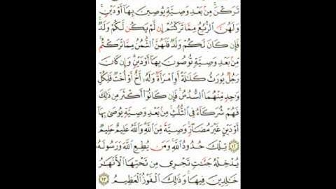 سورة النساء الآيات ( 12 ـ 14 ) إبراهيم الأخضر صفحة ( 79 )