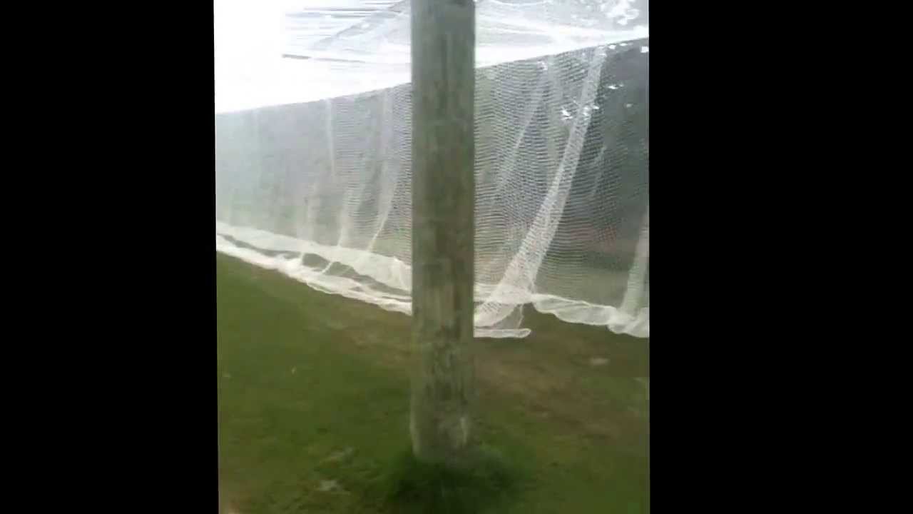 First use of the new enclosed cricket nets at mainpower oval.