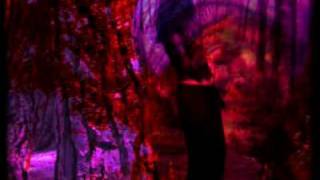Jamuna By Senses-Bandbapi Das Baul