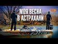 Астрахань|Весна|Старков|Жерех