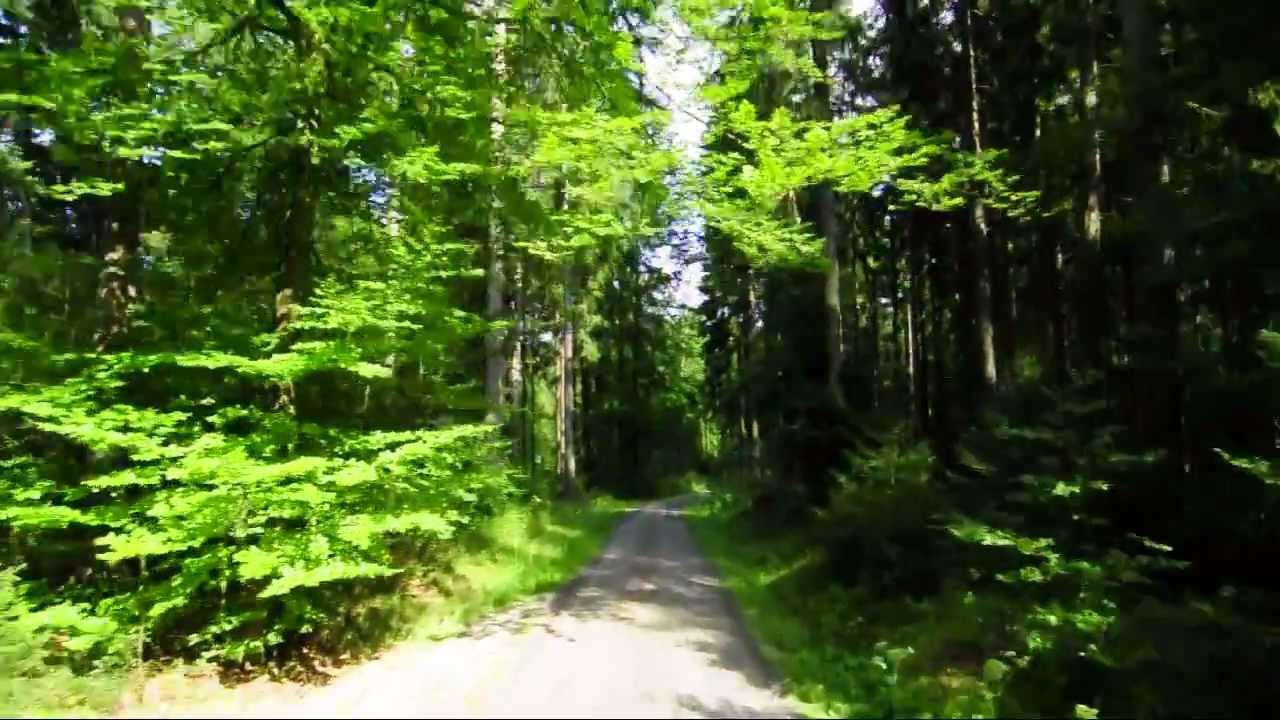 fil_da_elephant - Einfach Mal Raus