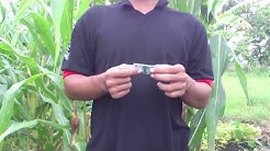 trik sulap menghilangkan uang - Durasi: 2.02. 