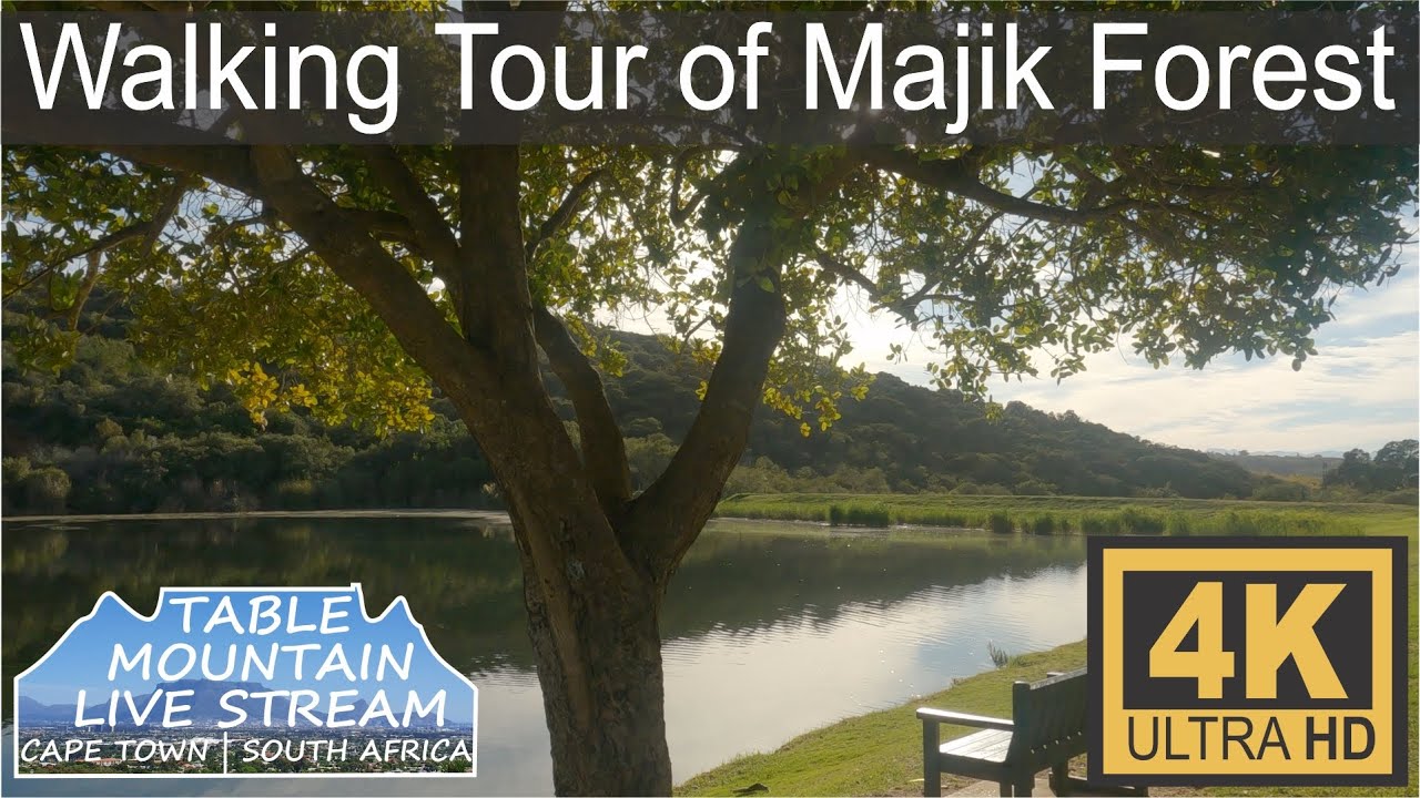 Walking Tour of Majik Forest, Durbanville YouTube