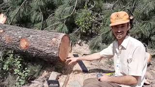 LTL2 - picnic table - green wood shrinkage