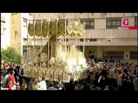 Pontificia, Real, Muy Ilustre y Trinitaria Hermandad Sacramental y Archicofradía de Nazarenos del Sagrado Decreto de la Santísima Trinidad, Santísimo Cristo de las Cinco Llagas, María Santísima de la Concepción, Nuestra Señora de la Esperanza Coronada y San Juan Bosco