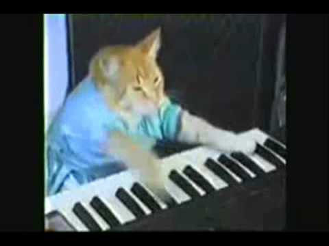 RTR Play Them Off Keyboard Cat