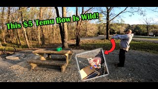 This $5 Temu Bow Is Wild (But Is It Worth It?)
