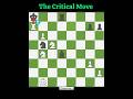 Task Failed Successfuly🧩‼️#chess #rook #checkmate #games #puzzle