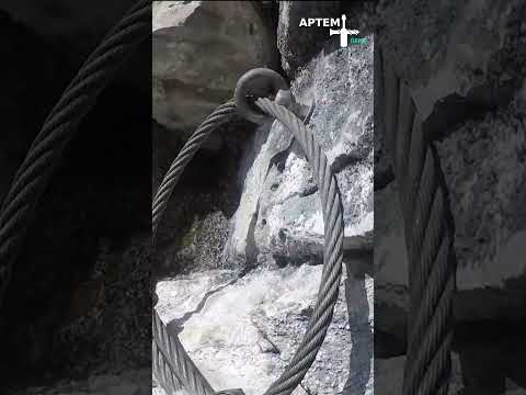 37. Сочи. Орлиные скалы. (Виа феррата, утёс Прометея), Ахунская пещера, Агурские водопады. #shorts