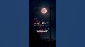 ارح قلبك المتعب-تلاوة هادئة للقارئ محمد صديق المنشاوي #قرآن #المصحف #اكسبلور