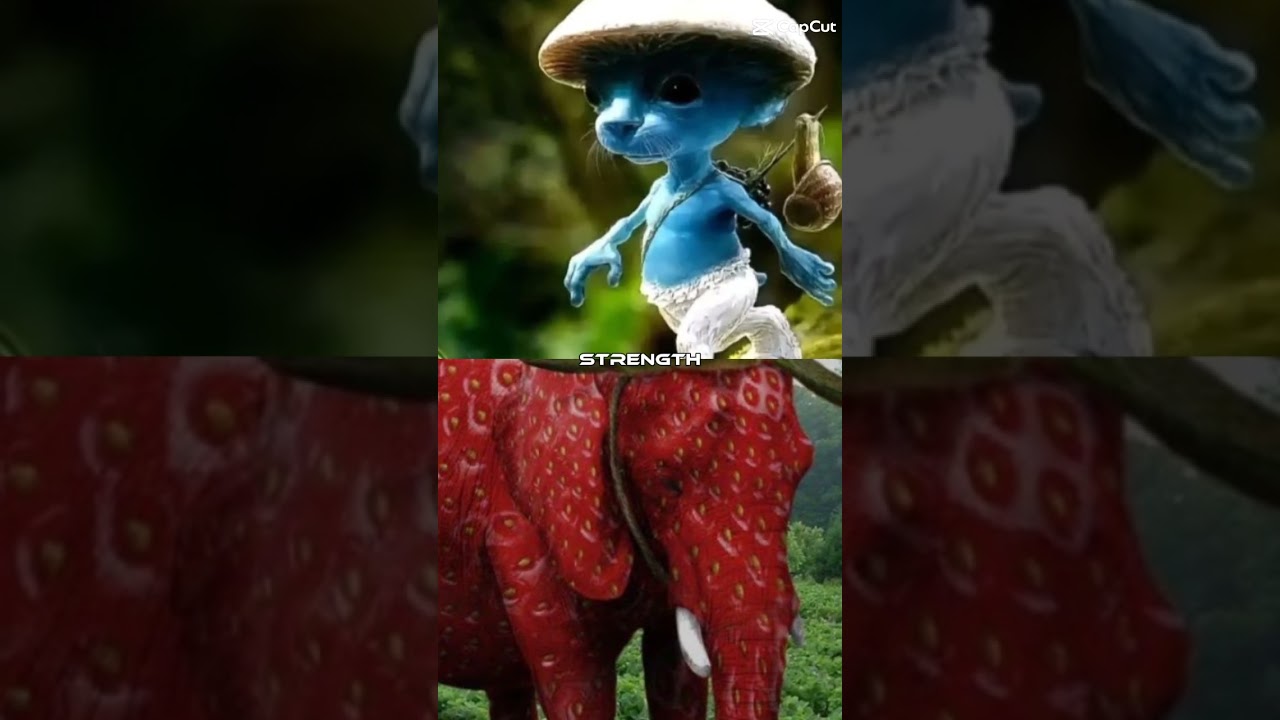 CapCut_elefante morango smurf cat