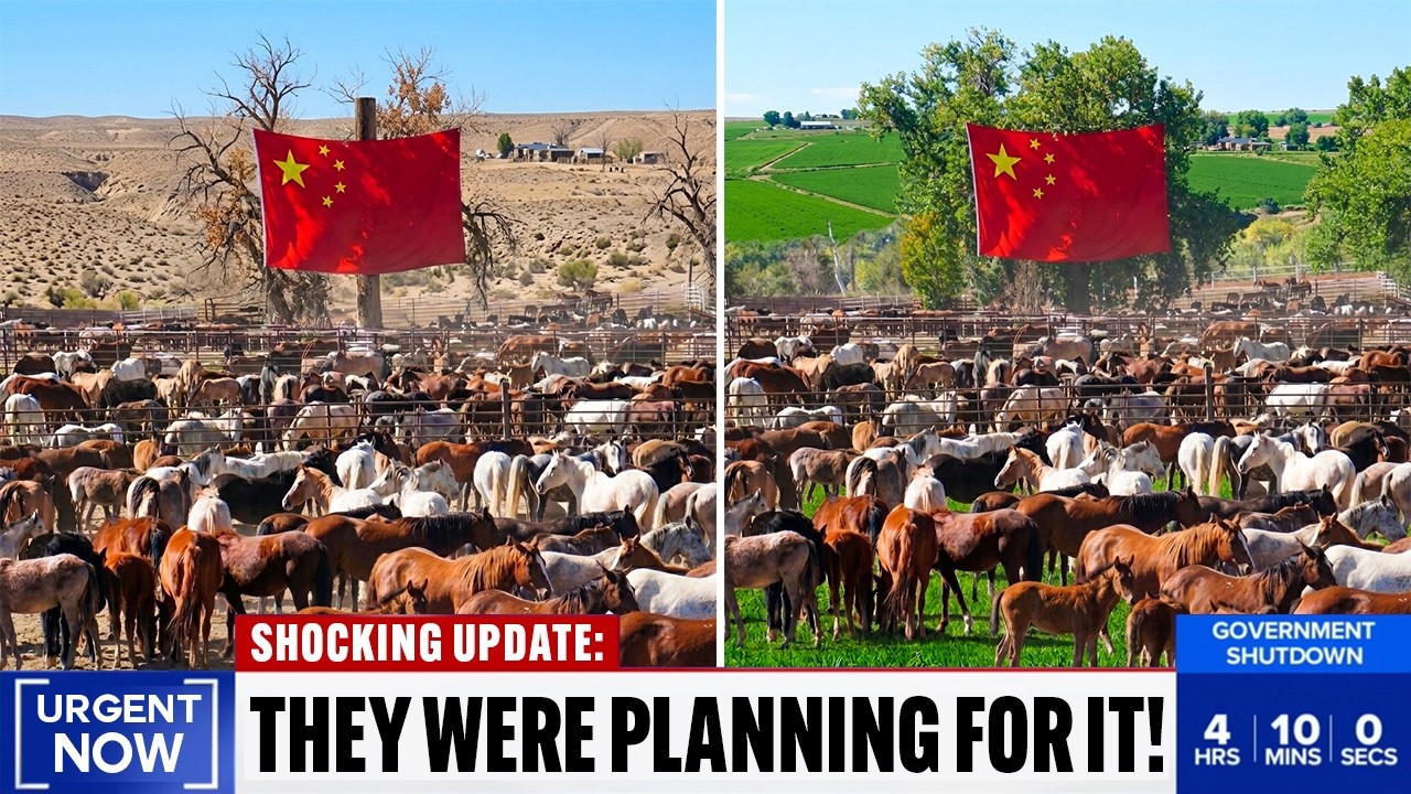 Scientists Didn’t Expect Horses to Survive China’s Barren Desert — Then Everything Changed