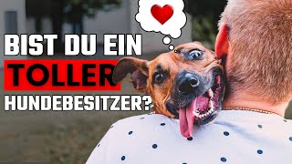 10 Unverkennbare Zeichen, Dass Du Ein Toller Hundebesitzer Bist