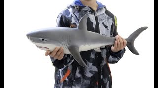 Baby Shark toy review 2020 - Realistic, Soft and Cute screenshot 2