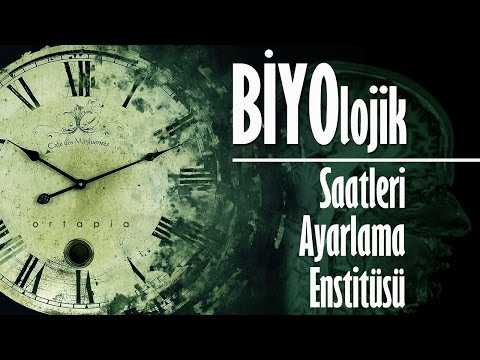 Video: Biyolojik Ritimler Nasıl Dikkate Alınır?