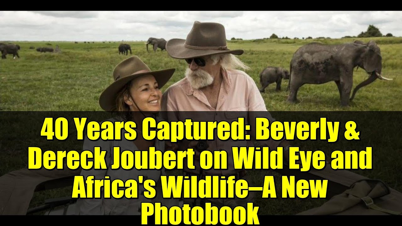 40 лет в плену: Беверли и Дерек Жубер о Wild Eye и дикой природе Африки — новая фотокнига