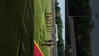 Sergeants Course R2-17 Drill Evaluation - Sgt Alday