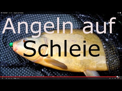 Video: Schleienfisch: Der Traum Eines Jeden Anglers