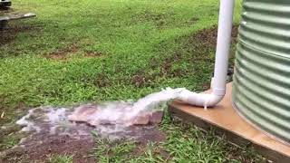 Tank Vac operating