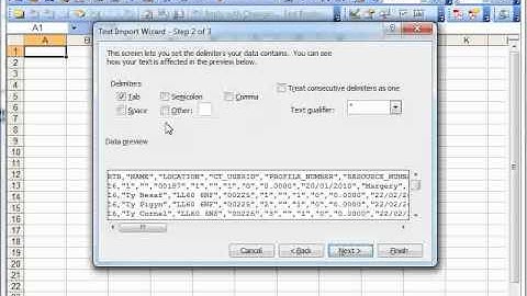 Preserving text format when importing CSV files into Excel
