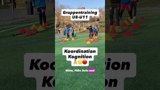 Kognition und Farbansage🔥⚽️#fussball #coordination #soccer #training #football #fussballtraining