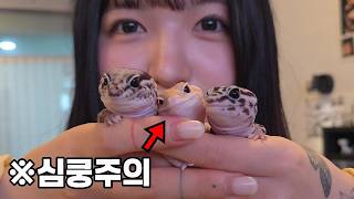 ※경고) 20대 여사장님이 이것에 올인한 이유…직접 봤습니다