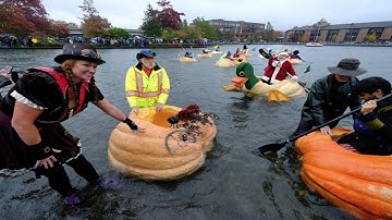 7 best fall festivals in the United States: A Compilation by New Forward